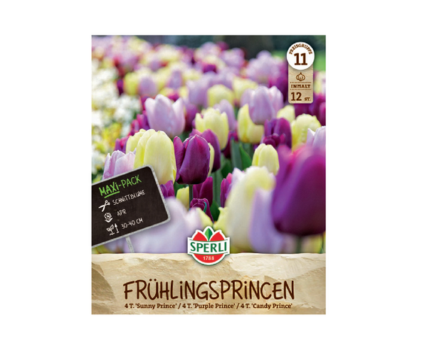 Frühlingsprincen tulipán színkeverék